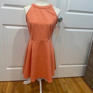 Women's Dress Size Large
